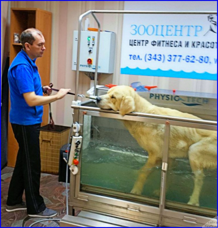 Фотография № 190122