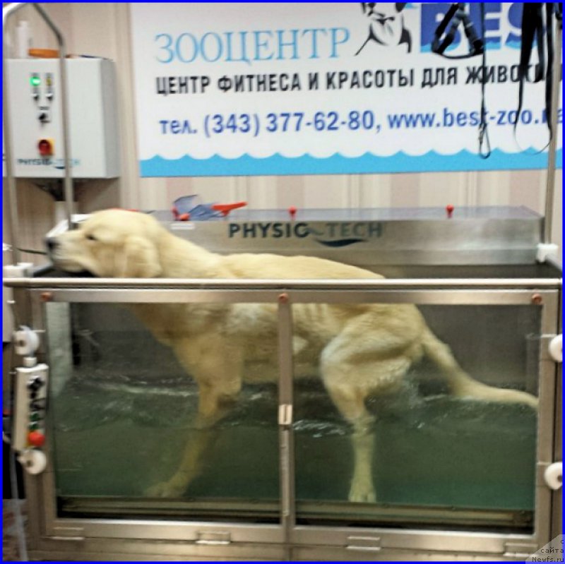 Фотография № 190123