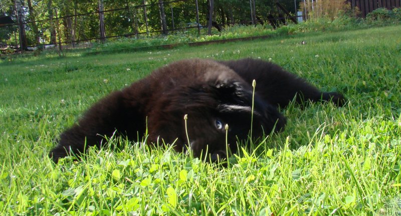 Фотография № 190159