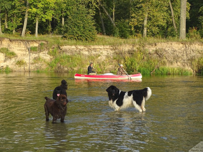 Фотография № 190171