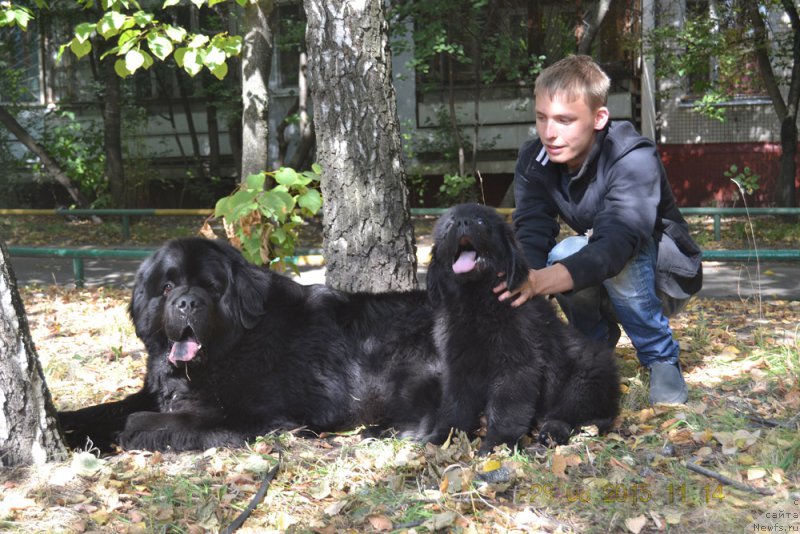 Фотография № 190186