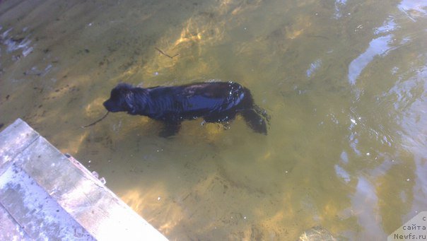 Фотография № 190189