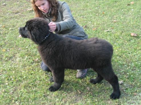 Фотография № 19019