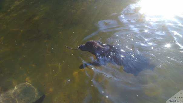 Фотография № 190190