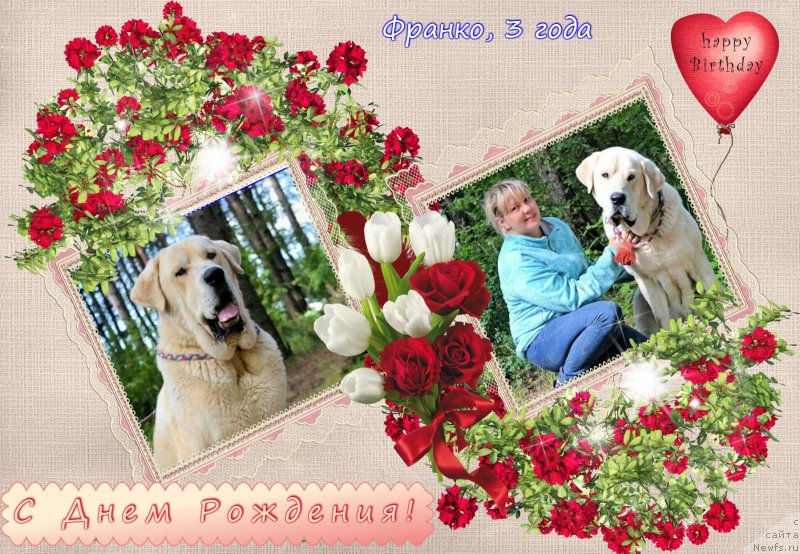 Фотография № 190198