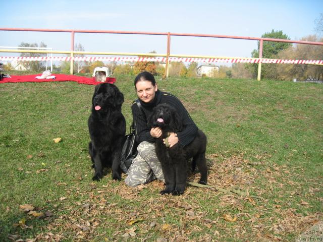 Фотография № 19020