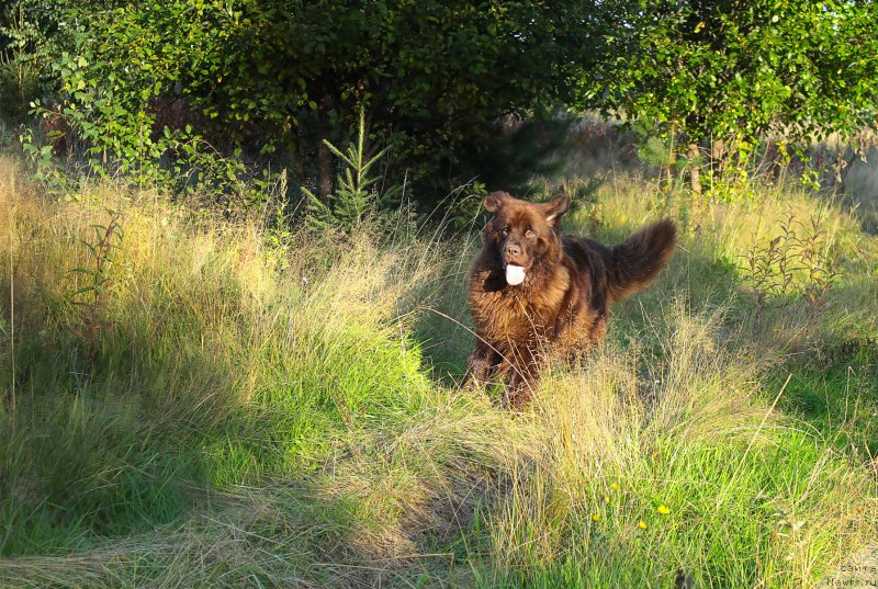 Фотография № 190207