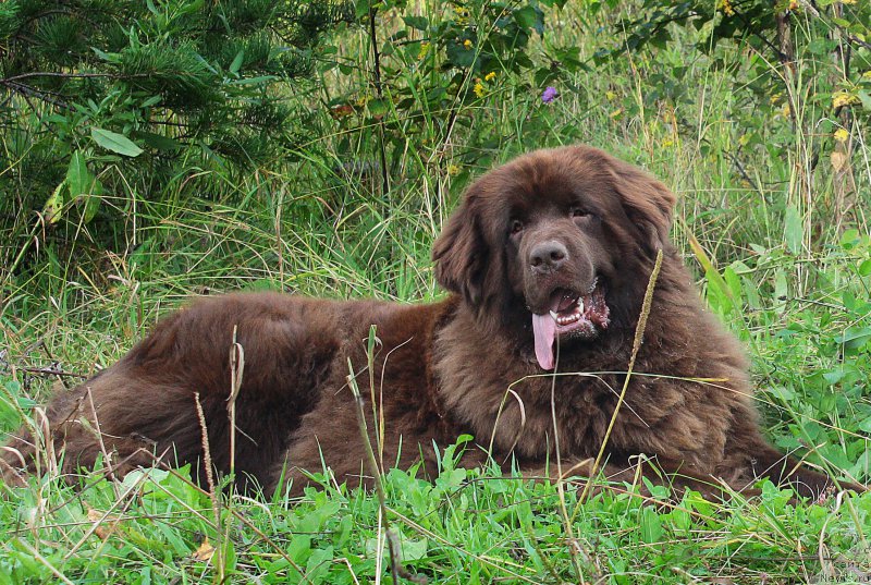 Фотография № 190208