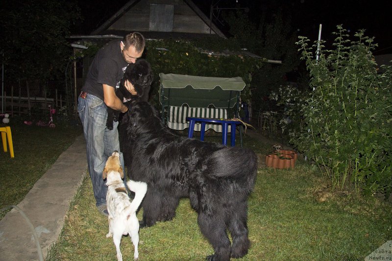 Фотография № 190210