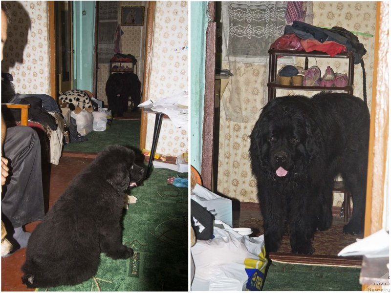 Фотография № 190213