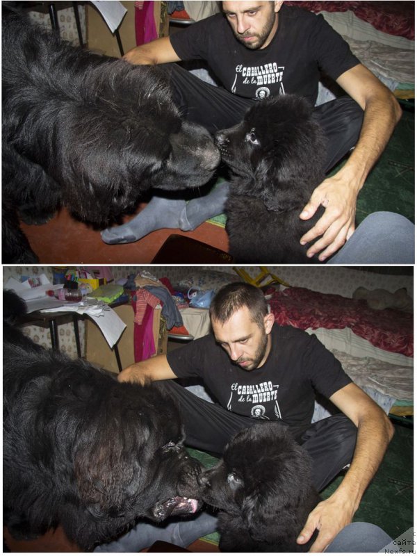 Фотография № 190214