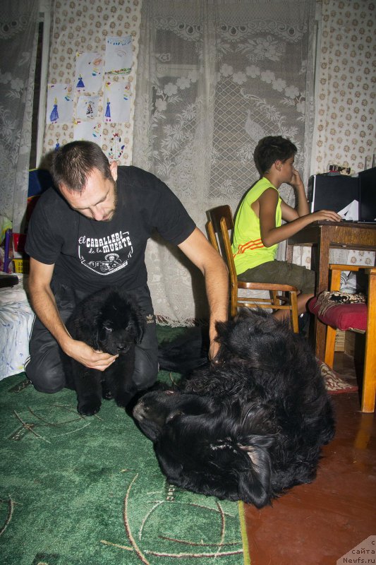 Фотография № 190215