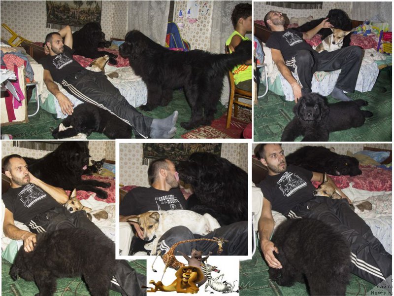 Фотография № 190219