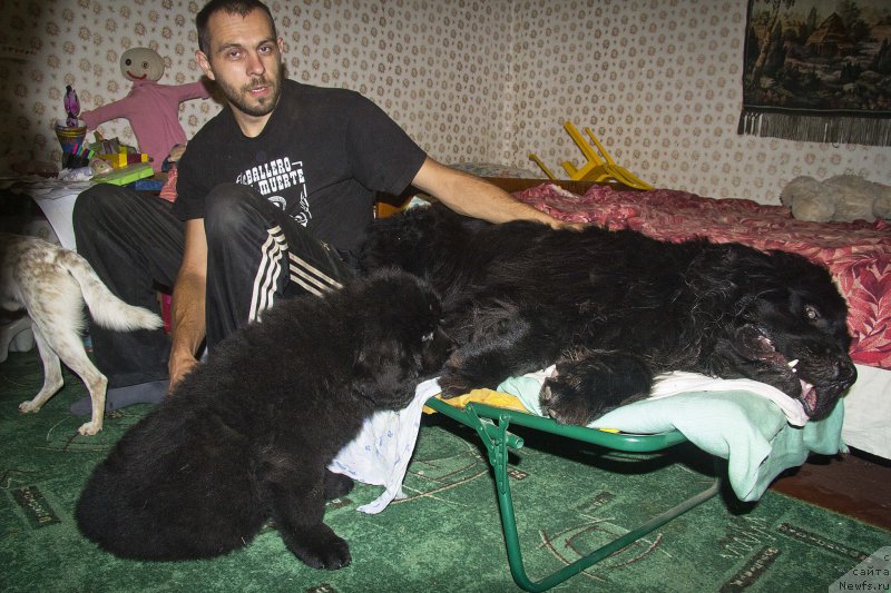 Фотография № 190220