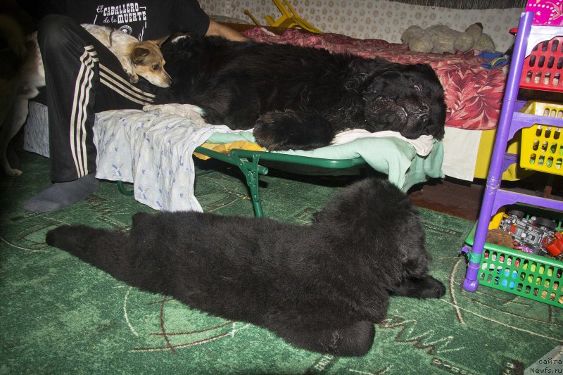 Фотография № 190221