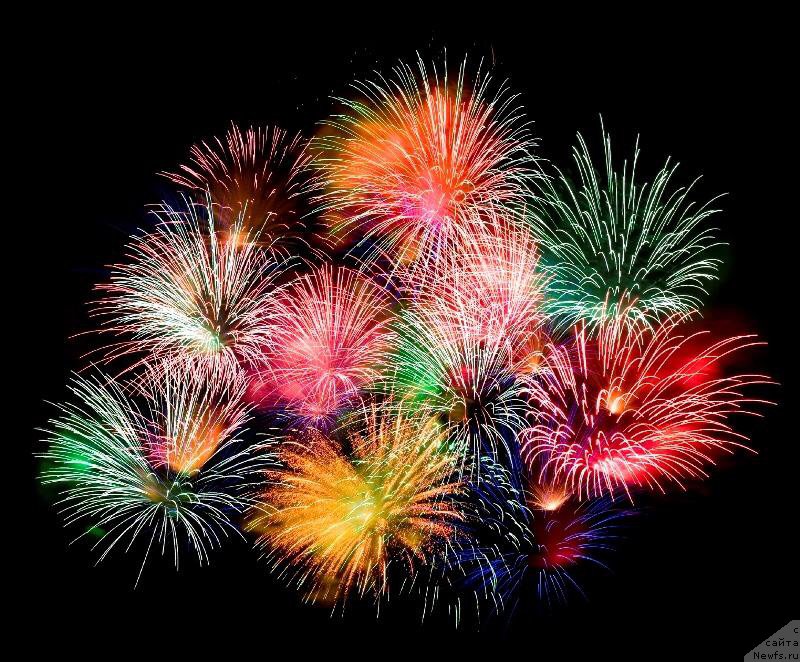 Фотография № 190228