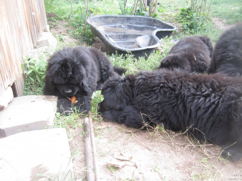 Фото: Natal'ya Smazchikova (Наталья Смазчикова)