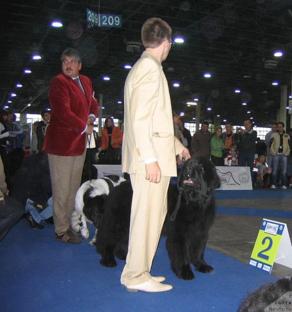 Фотография № 19028