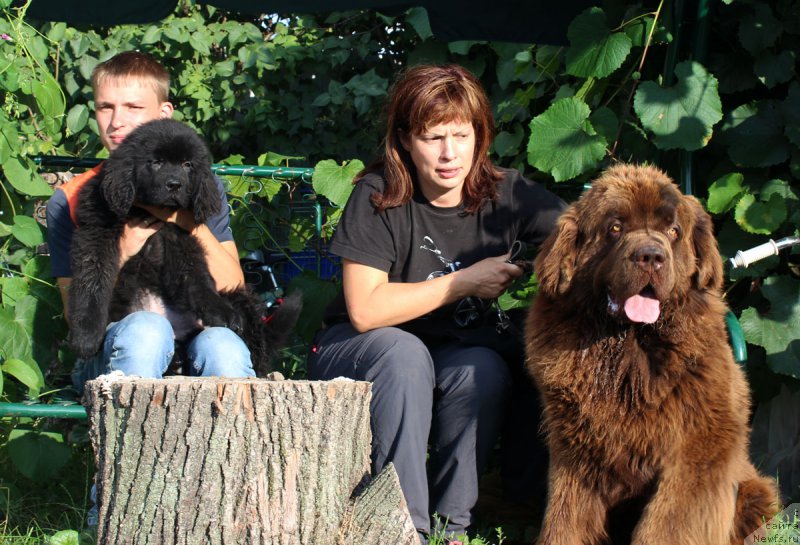 Фотография № 190289