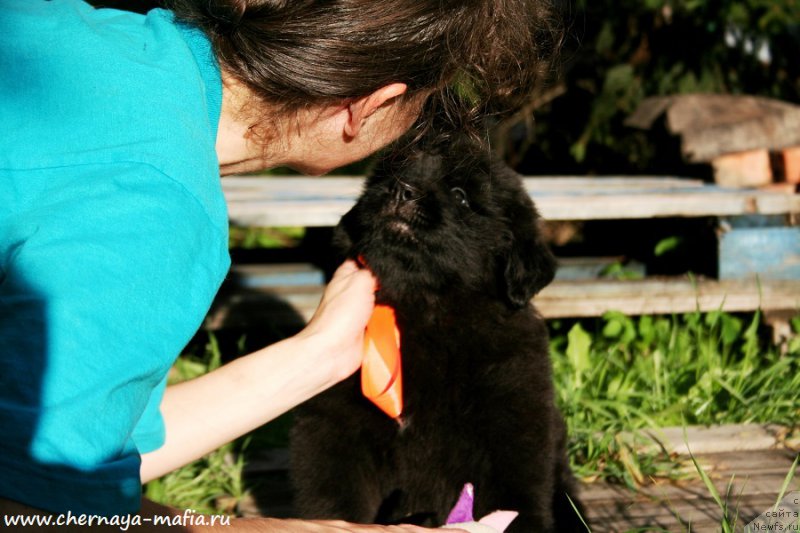 Фотография № 190299