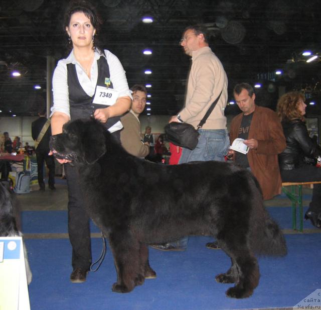 Фотография № 19030