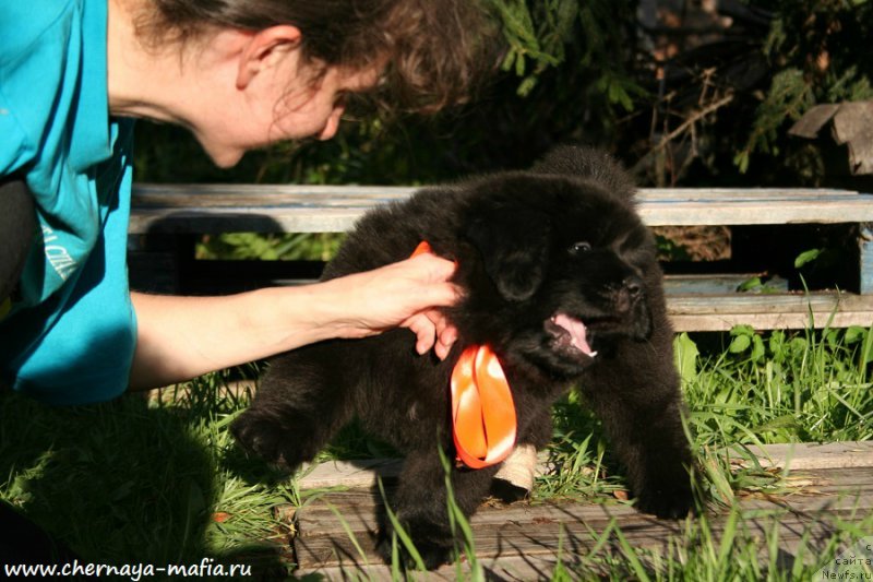 Фотография № 190301