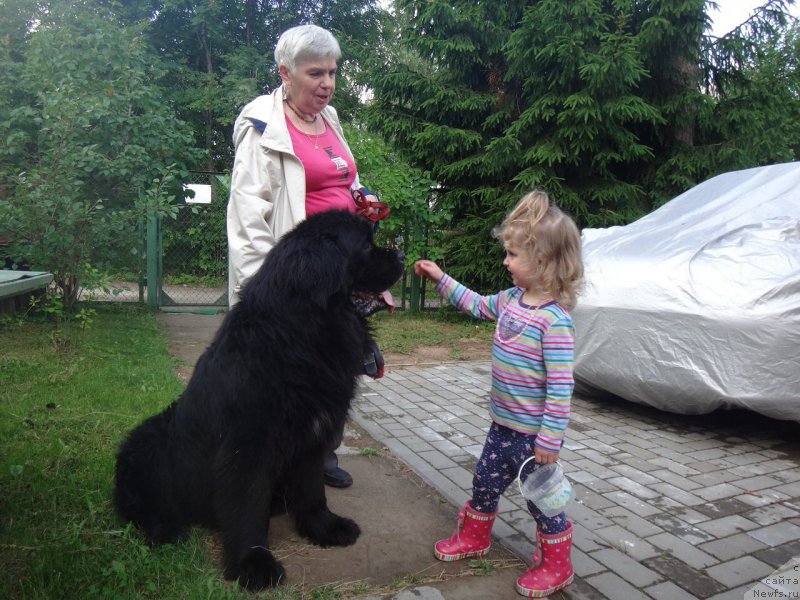 Фотография № 190303