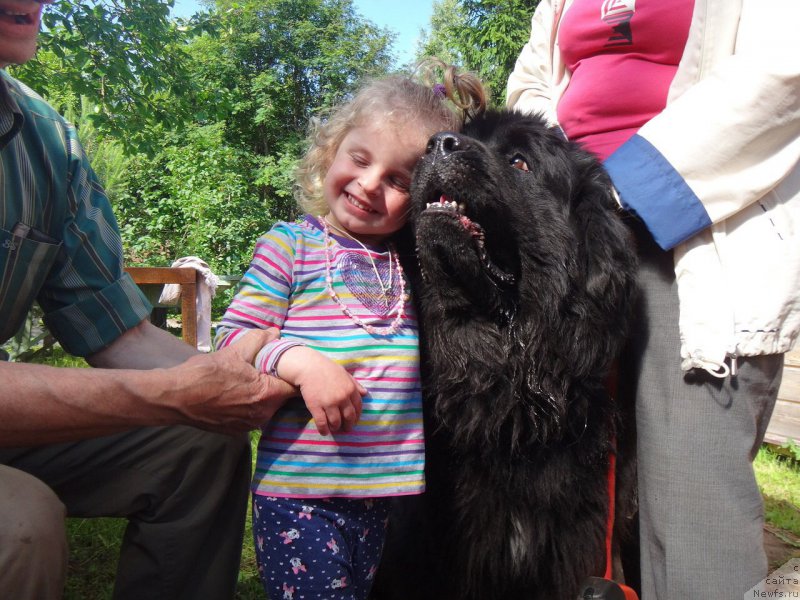 Фотография № 190305