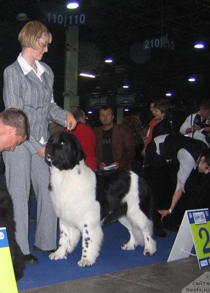 Фотография № 19032