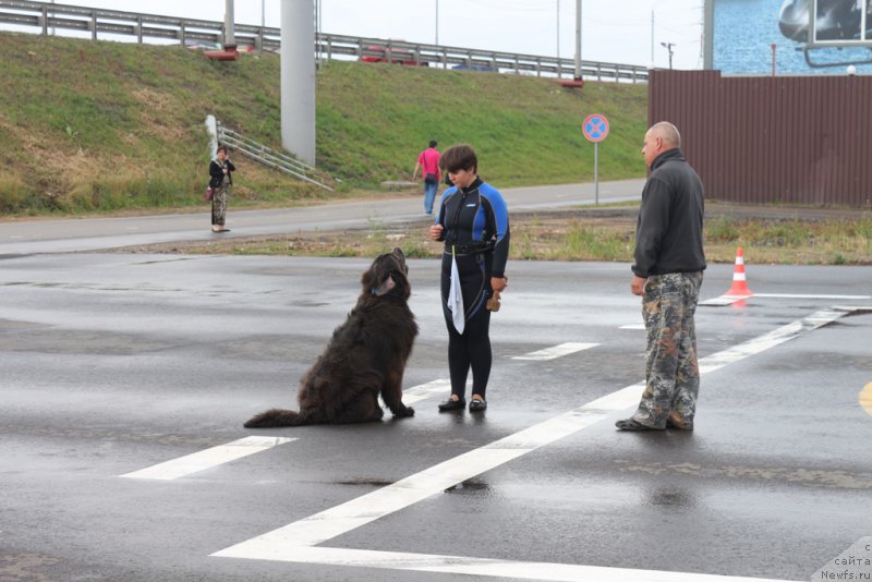 Фотография № 190330