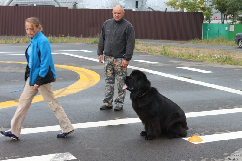 Фотография № 190335