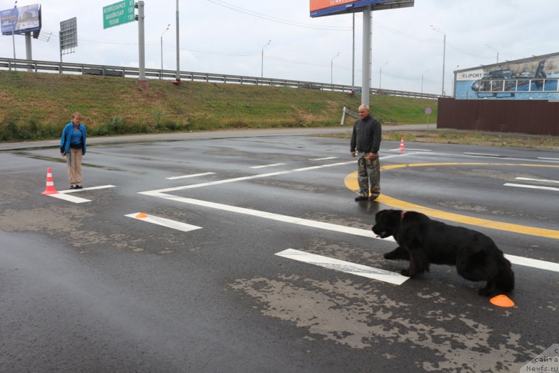 Фотография № 190336