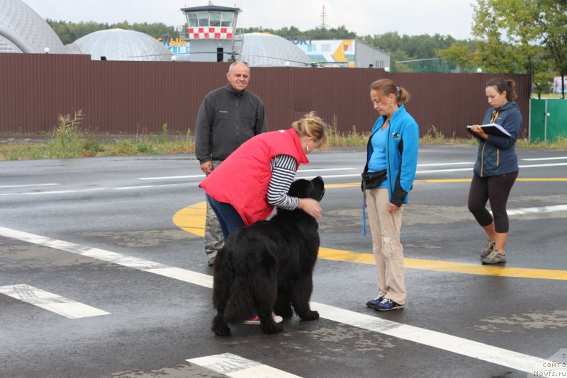 Фотография № 190343