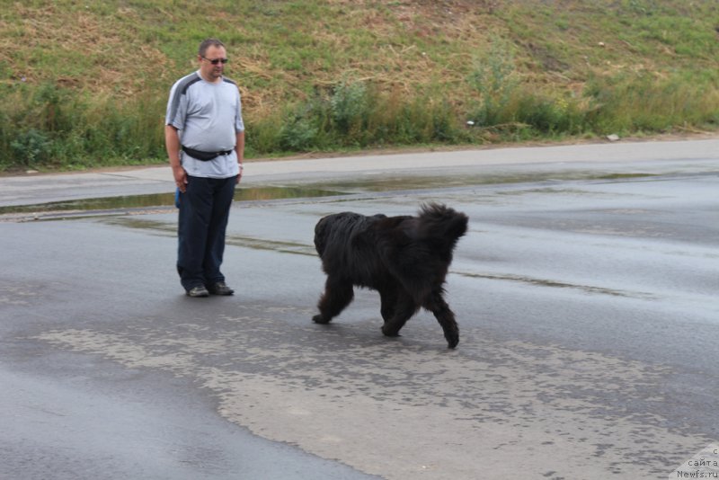 Фотография № 190354