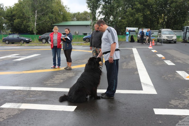 Фотография № 190358