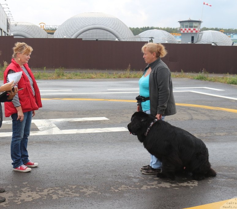 Фотография № 190360