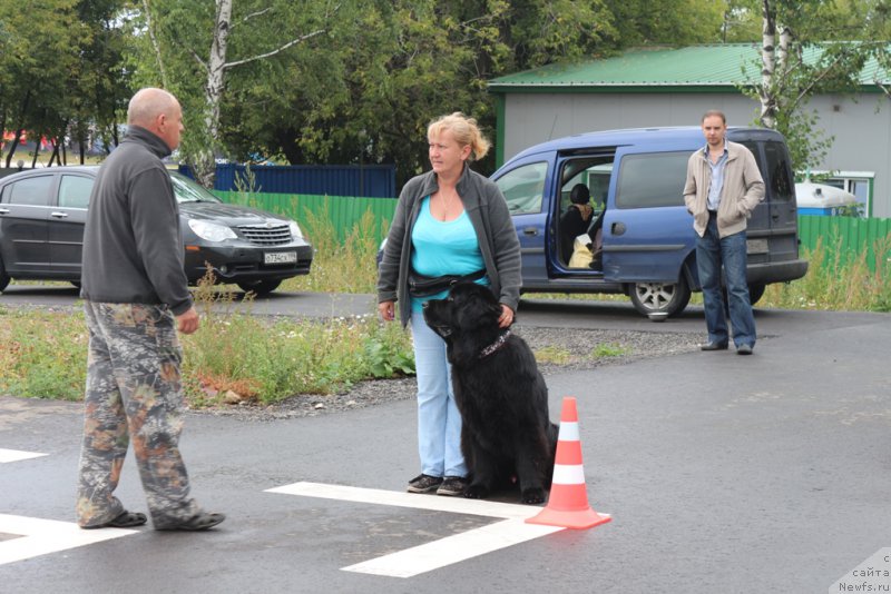 Фотография № 190361