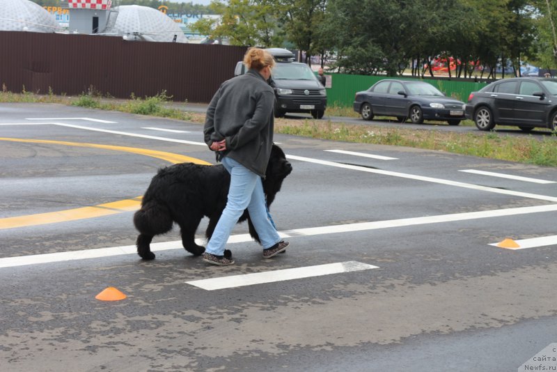 Фотография № 190363