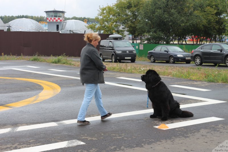 Фотография № 190364