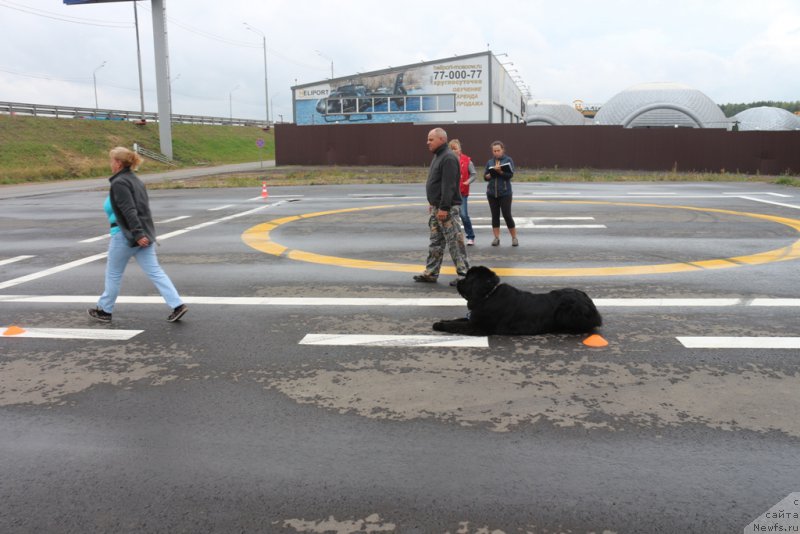 Фотография № 190365