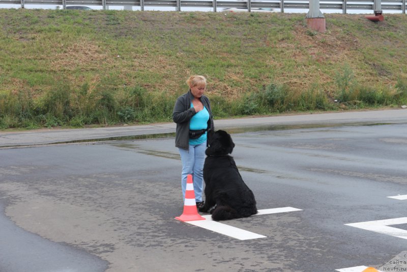 Фотография № 190366