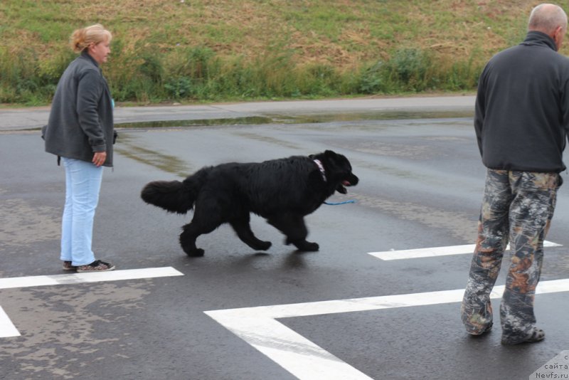 Фотография № 190367