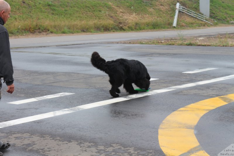 Фотография № 190368