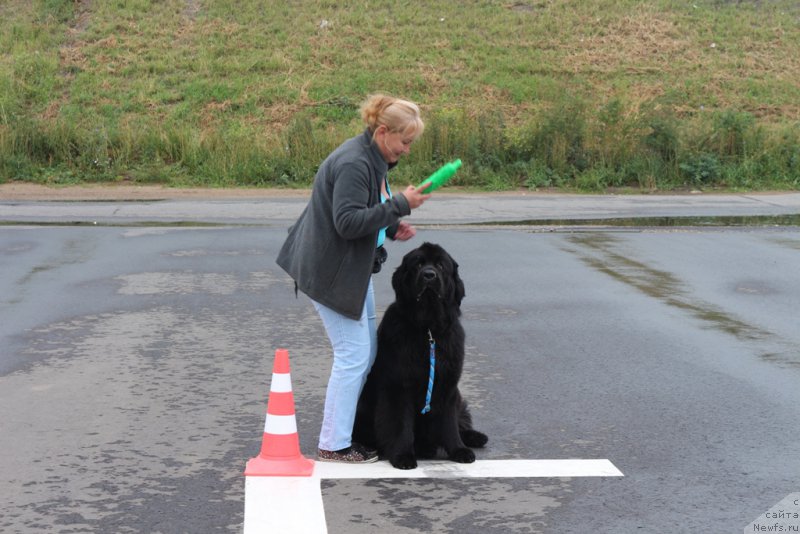 Фотография № 190369