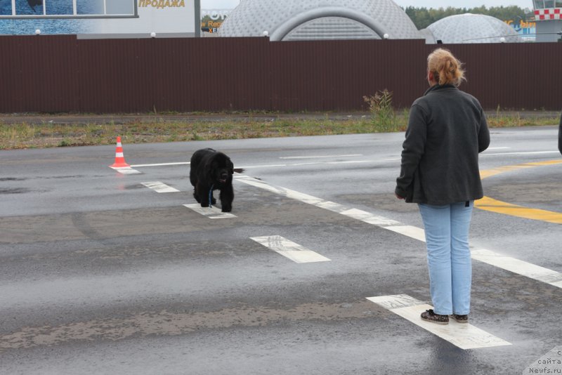 Фотография № 190370