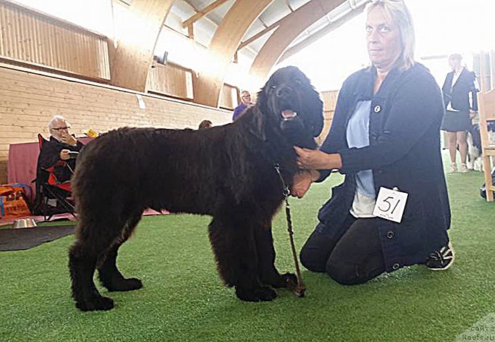 Фотография № 190377