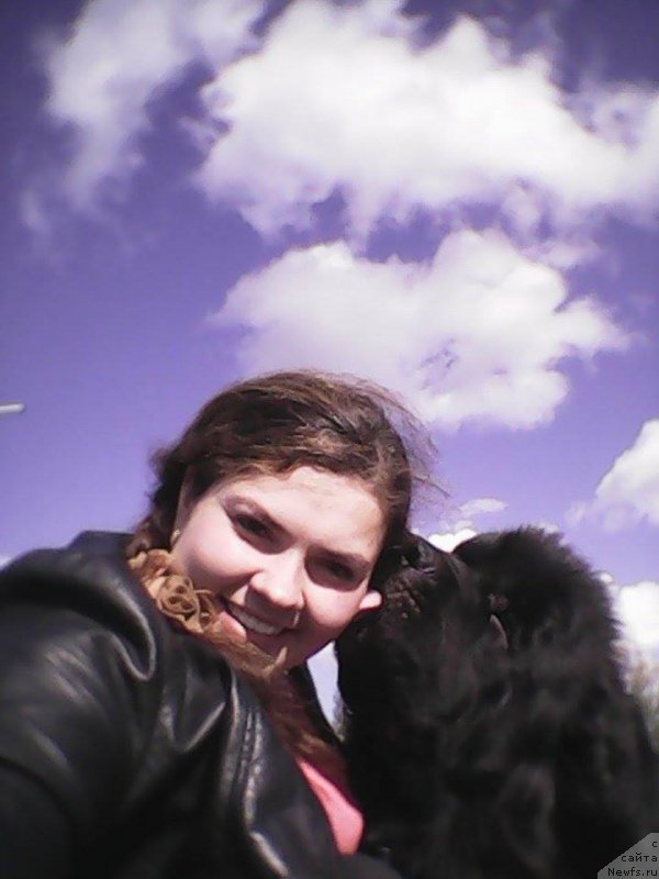 Фото: ньюфаундленд Promise To Love Midnight Bear (Promise To Love Midnight Bear), Ekaterina Jironkina (Екатерина Жиронкина)