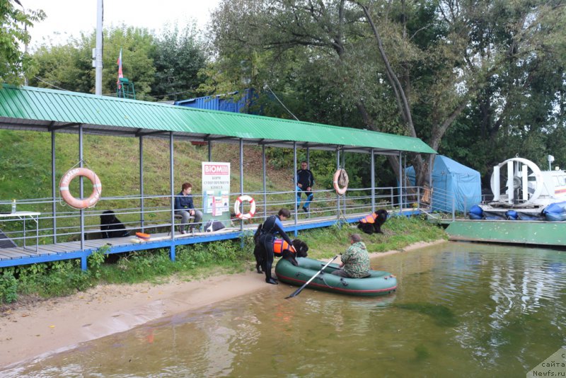 Фотография № 190393