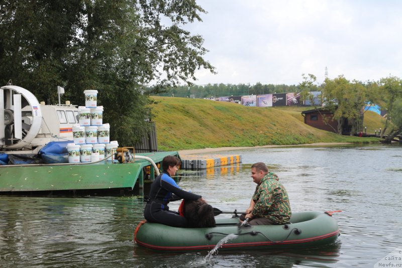 Фотография № 190394