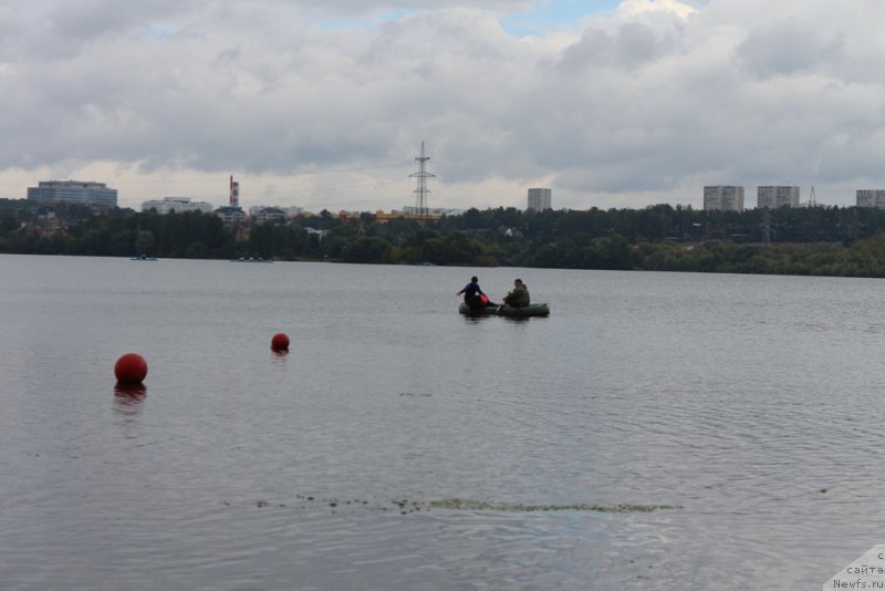 Фотография № 190395